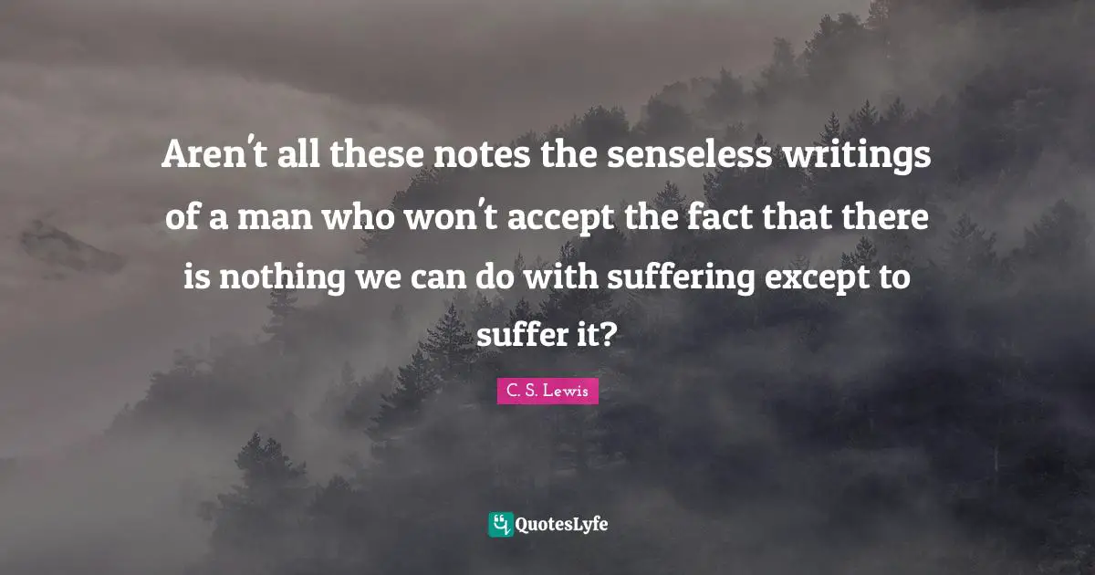 Aren't all these notes the senseless writings of a man who won't accept the fact that there is nothing we can do with suffering except to suffer it?