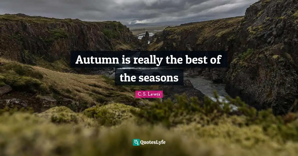 Autumn is really the best of the seasons