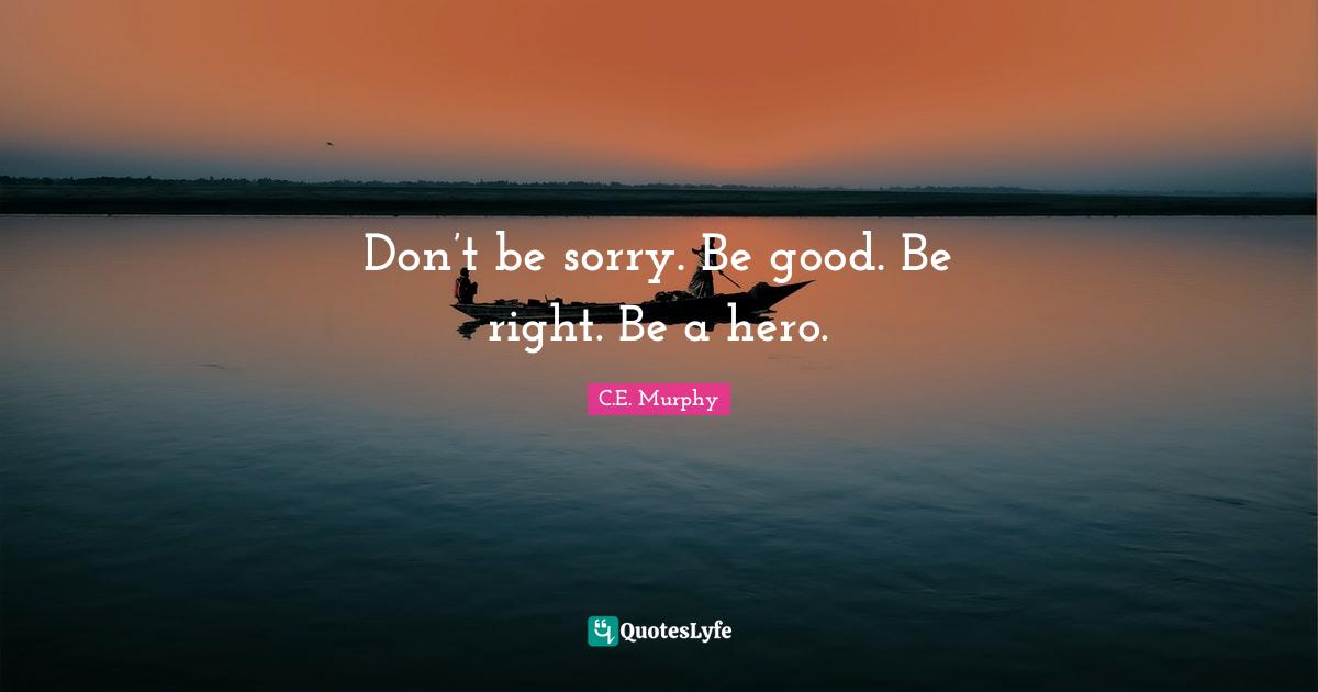Don’t be sorry. Be good. Be right. Be a hero.