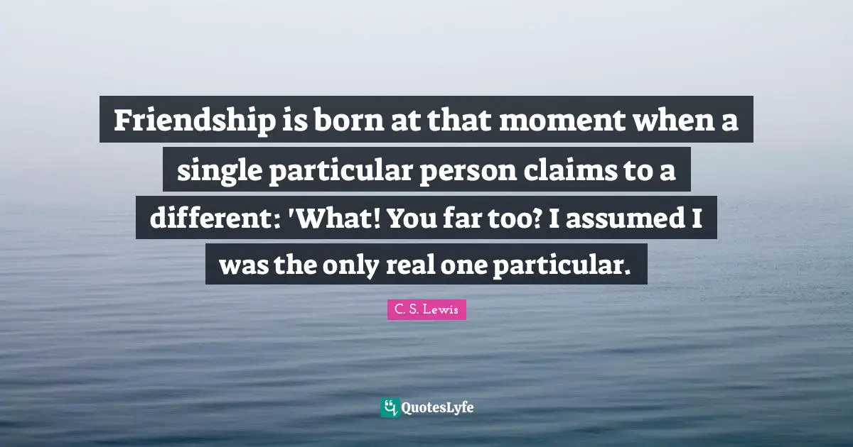 Friendship is born at that moment when a single particular person claims to a different: 'What! You far too? I assumed I was the only real one particular.