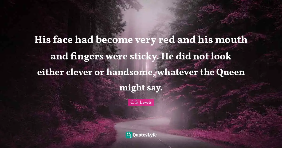 His face had become very red and his mouth and fingers were sticky. He did not look either clever or handsome, whatever the Queen might say.
