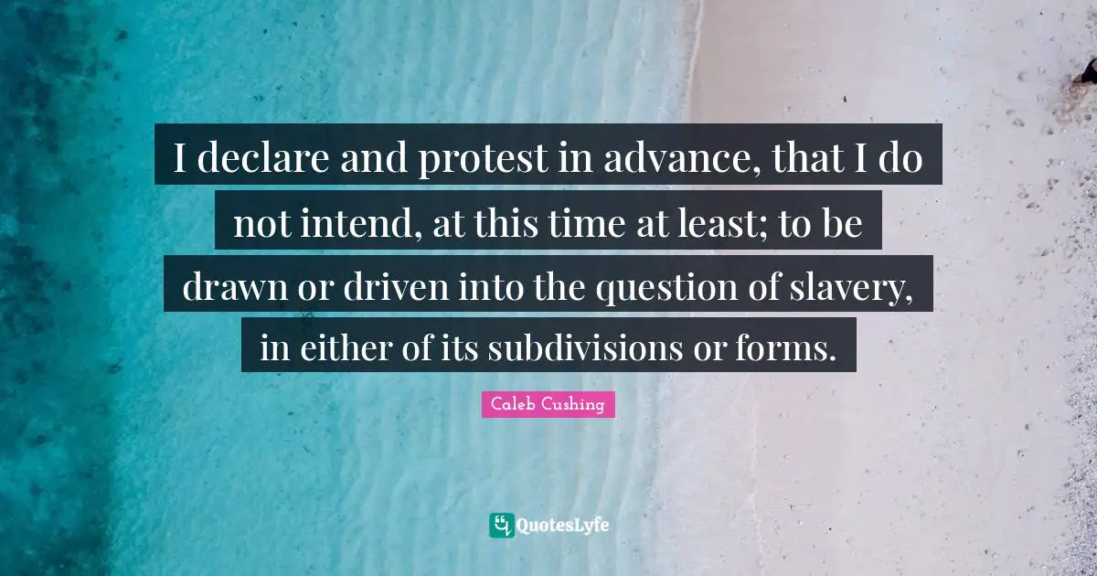 I declare and protest in advance, that I do not intend, at this time at least; to be drawn or driven into the question of slavery, in either of its subdivisions or forms.