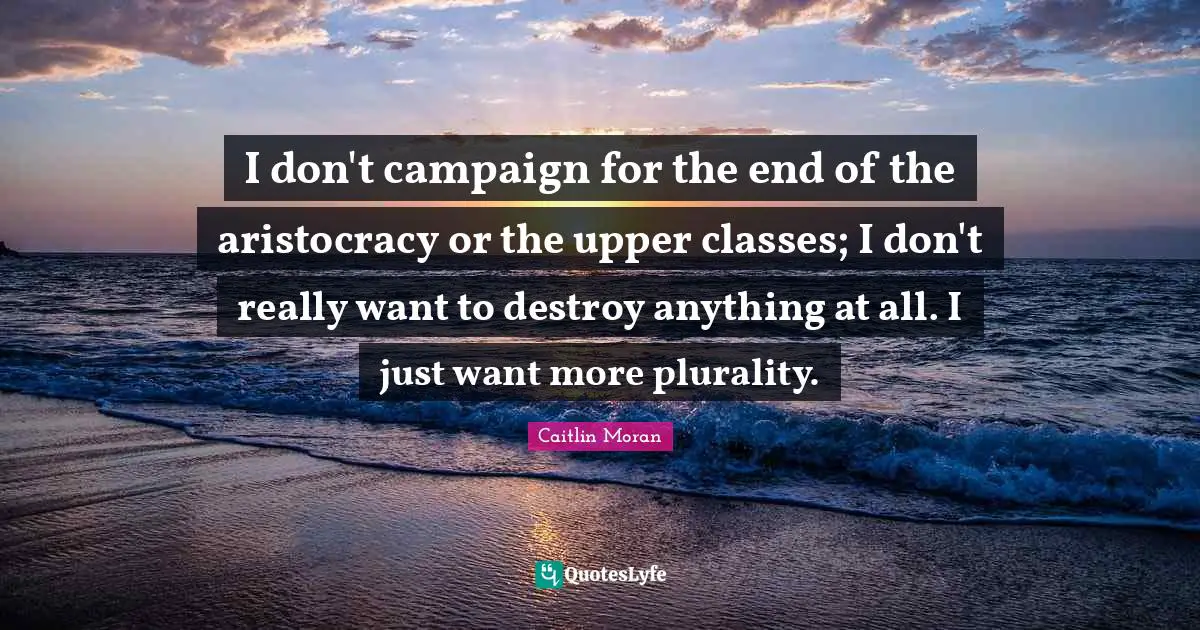 I don't campaign for the end of the aristocracy or the upper classes; I don't really want to destroy anything at all. I just want more plurality.