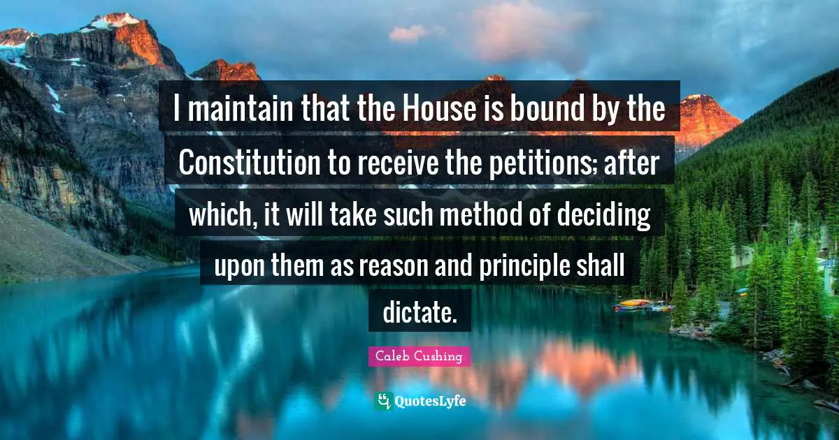 I maintain that the House is bound by the Constitution to receive the petitions; after which, it will take such method of deciding upon them as reason and principle shall dictate.