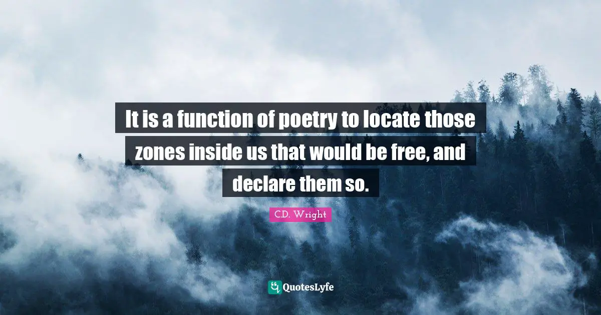 It is a function of poetry to locate those zones inside us that would be free, and declare them so.
