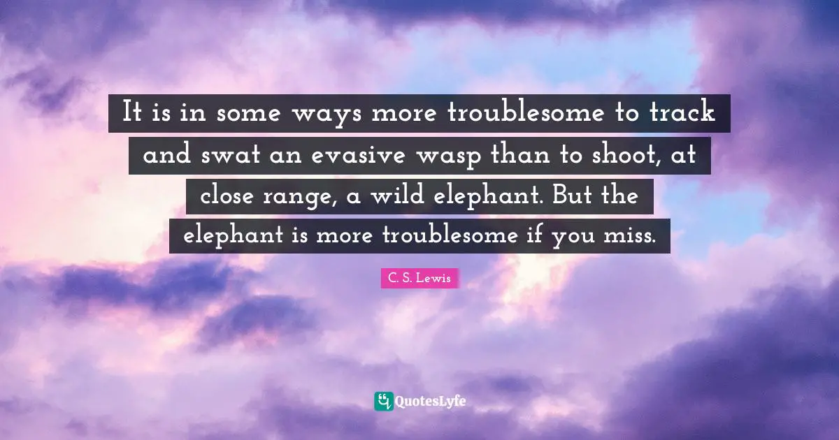 It is in some ways more troublesome to track and swat an evasive wasp than to shoot, at close range, a wild elephant. But the elephant is more troublesome if you miss.