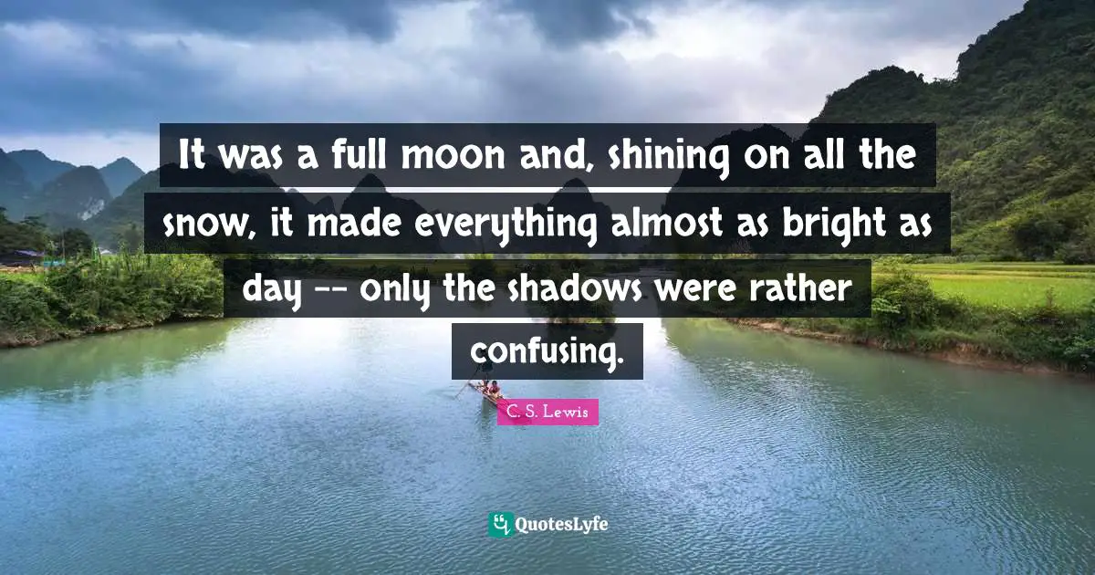 It was a full moon and, shining on all the snow, it made everything almost as bright as day -- only the shadows were rather confusing.