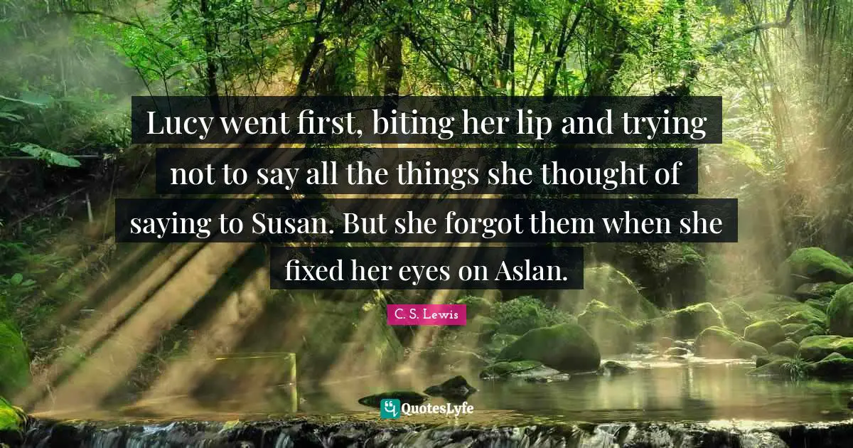 Lucy went first, biting her lip and trying not to say all the things she thought of saying to Susan. But she forgot them when she fixed her eyes on Aslan.