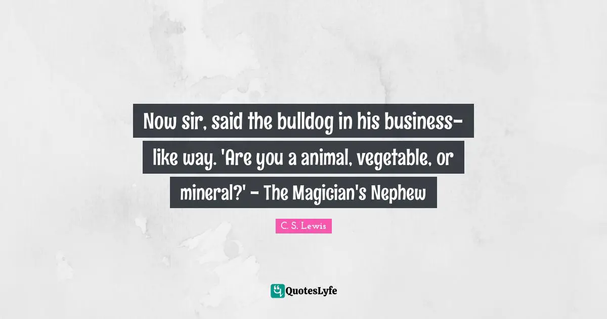 Now sir, said the bulldog in his business-like way. 'Are you a animal, vegetable, or mineral?' - The Magician's Nephew