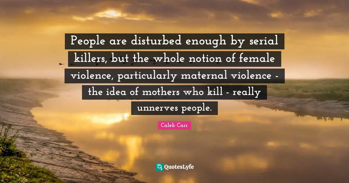 People are disturbed enough by serial killers, but the whole notion of female violence, particularly maternal violence - the idea of mothers who kill - really unnerves people.