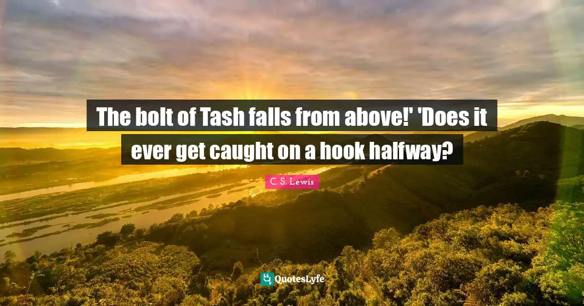 The bolt of Tash falls from above!' 'Does it ever get caught on a hook halfway?