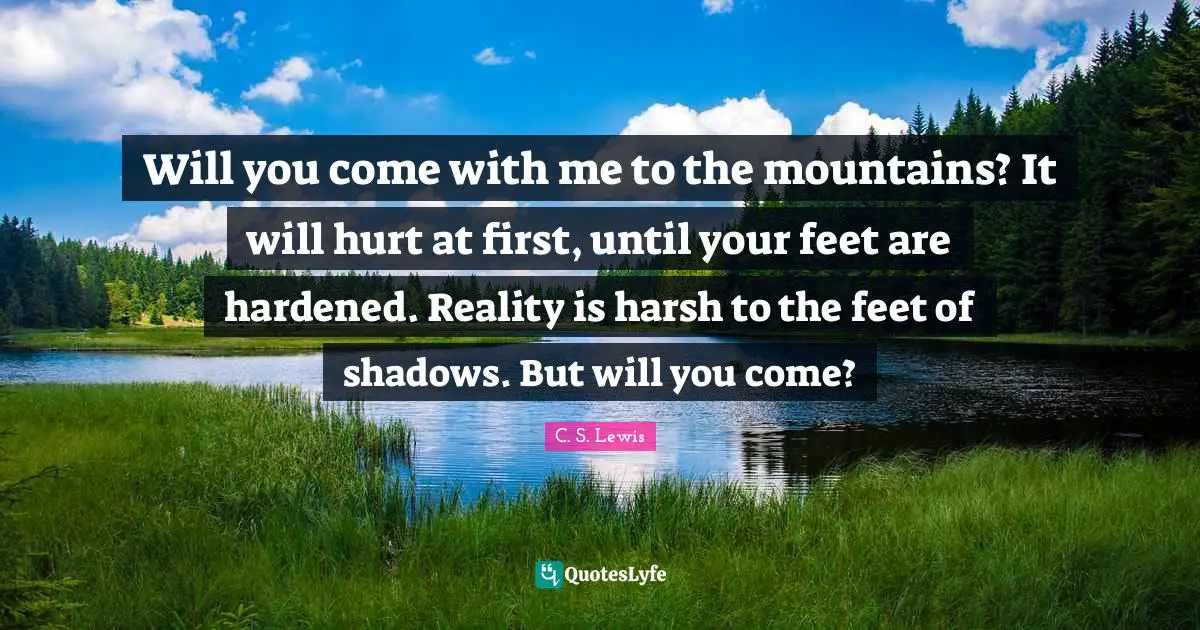 Will you come with me to the mountains? It will hurt at first, until your feet are hardened. Reality is harsh to the feet of shadows. But will you come?