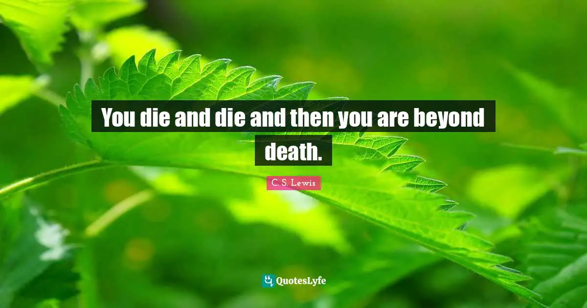 You die and die and then you are beyond death.