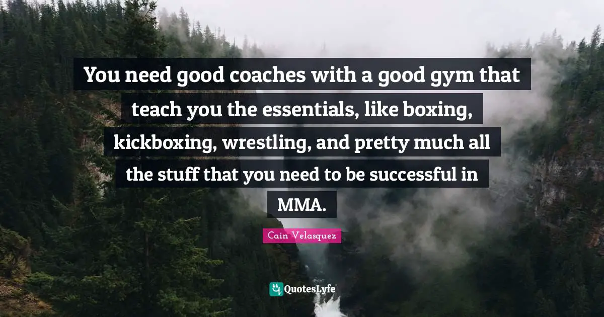 You need good coaches with a good gym that teach you the essentials, like boxing, kickboxing, wrestling, and pretty much all the stuff that you need to be successful in MMA.
