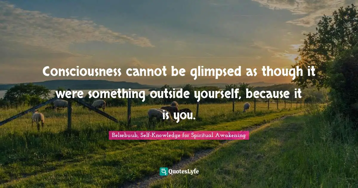 Consciousness cannot be glimpsed as though it were something outside yourself, because it is you.