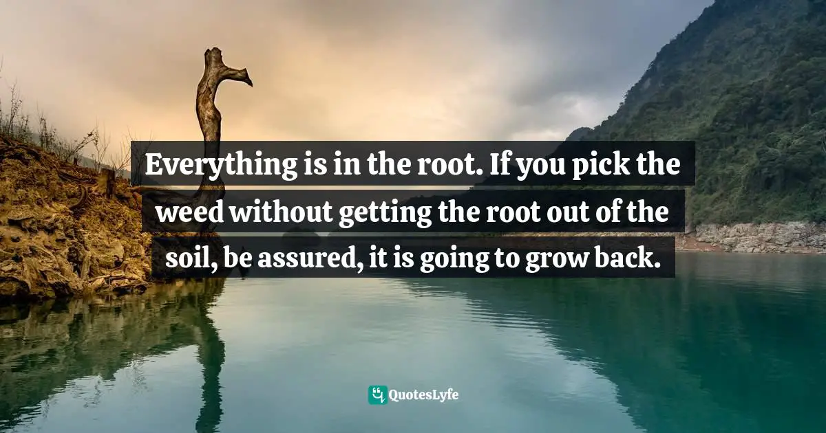 Everything is in the root. If you pick the weed without getting the root out of the soil, be assured, it is going to grow back.