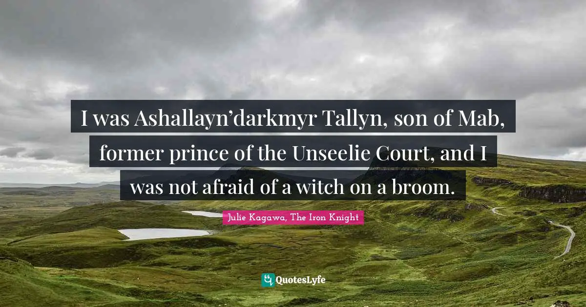 I was Ashallayn’darkmyr Tallyn, son of Mab, former prince of the Unseelie Court, and I was not afraid of a witch on a broom.
