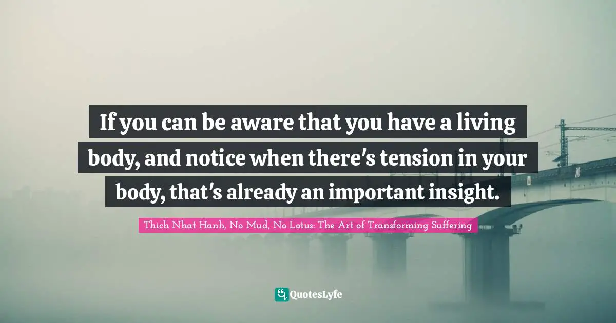 If you can be aware that you have a living body, and notice when there's tension in your body, that's already an important insight.
