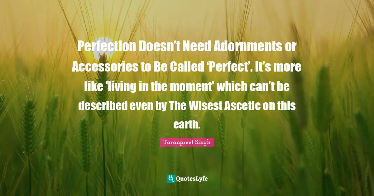 Perfection Doesn’t Need Adornments or Accessories to Be Called ‘Perfect’. It’s more like 'living in the moment' which can’t be described even by The Wisest Ascetic on this earth.