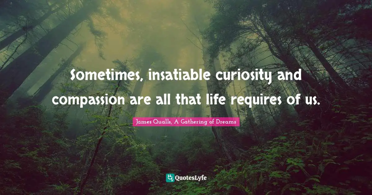 Sometimes, insatiable curiosity and compassion are all that life requires of us.