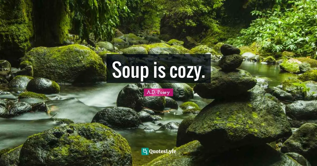 Soup is cozy.