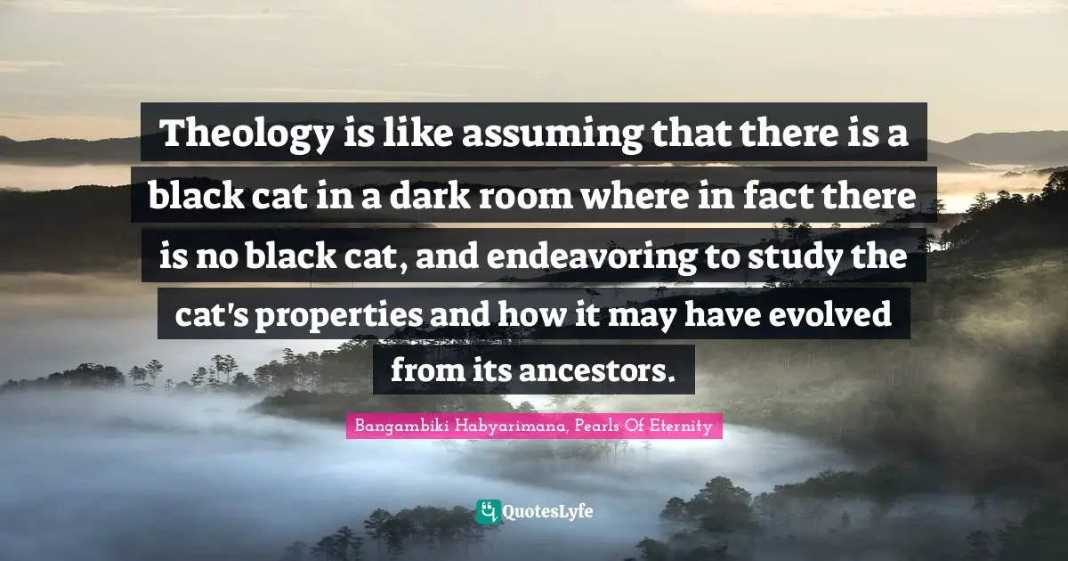 Bangambiki Habyarimana, Pearls Of Eternity Quotes: Theology is like assuming that there is a black cat in a dark room where in fact there is no black cat, and endeavoring to study the cat's properties and how it may have evolved from its ancestors.