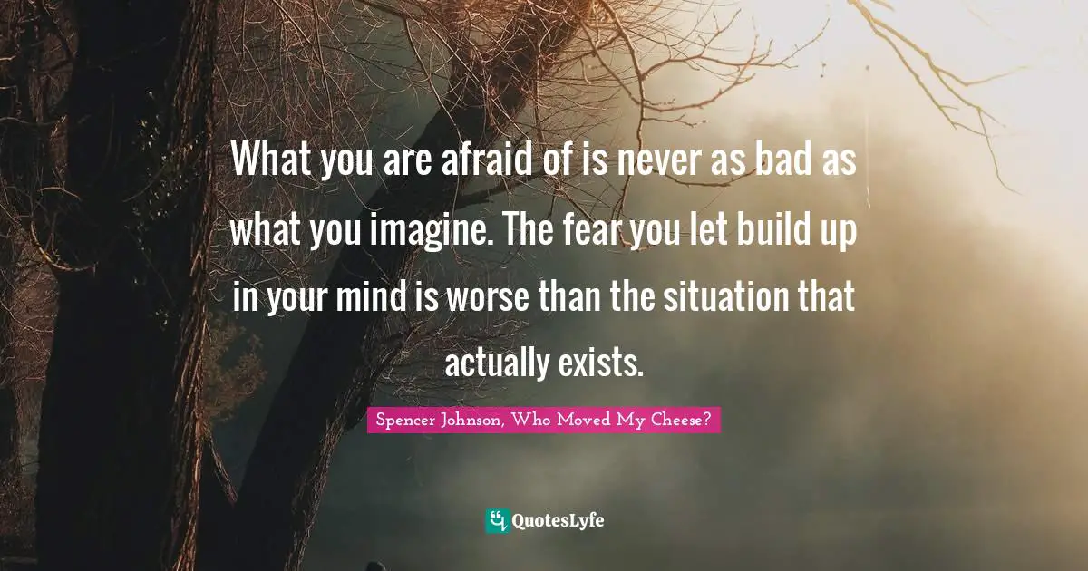 What you are afraid of is never as bad as what you imagine. The fear you let build up in your mind is worse than the situation that actually exists.