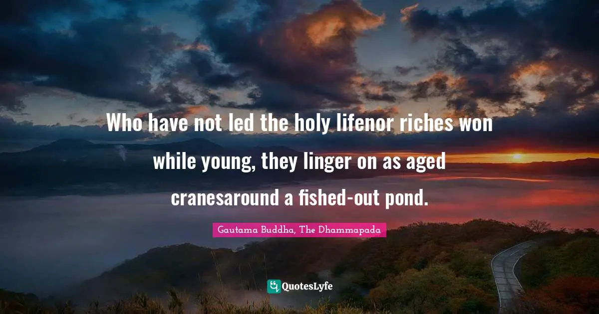 Gautama Buddha, The Dhammapada Quotes: Who have not led the holy lifenor riches won while young, they linger on as aged cranesaround a fished-out pond.