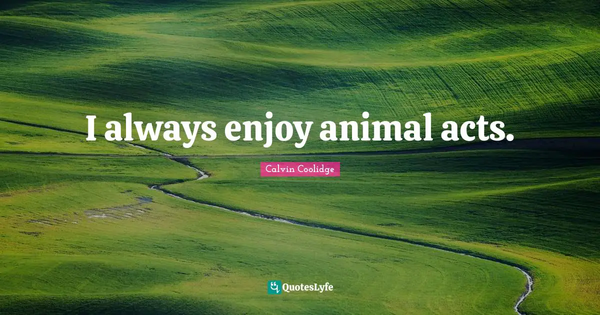 I always enjoy animal acts.