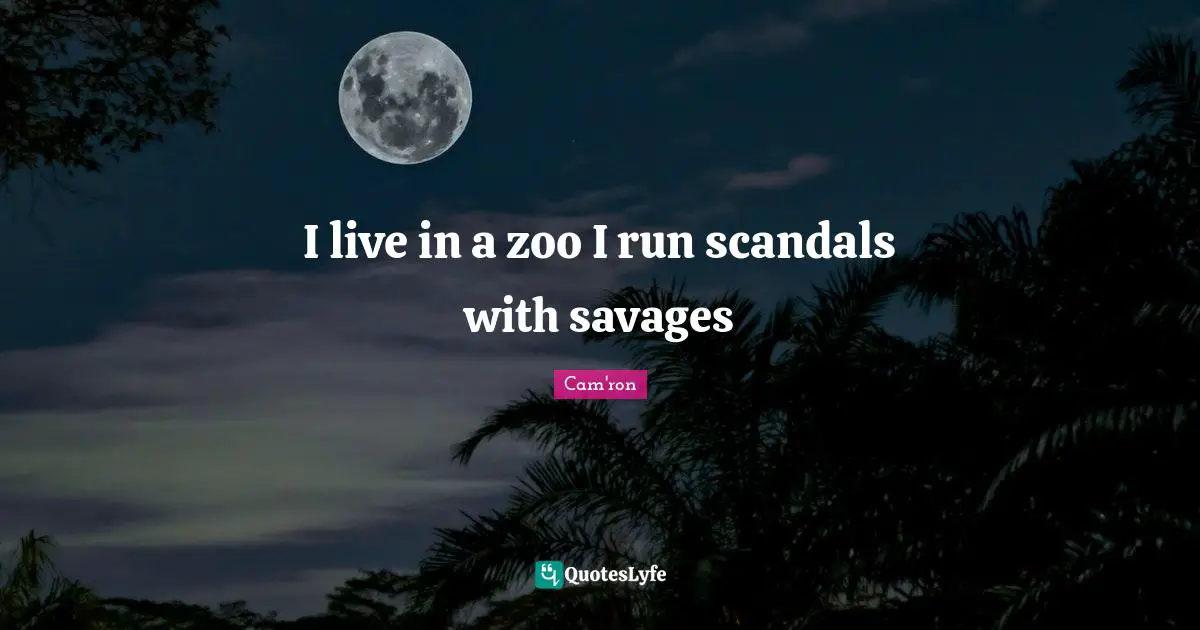 I live in a zoo I run scandals with savages