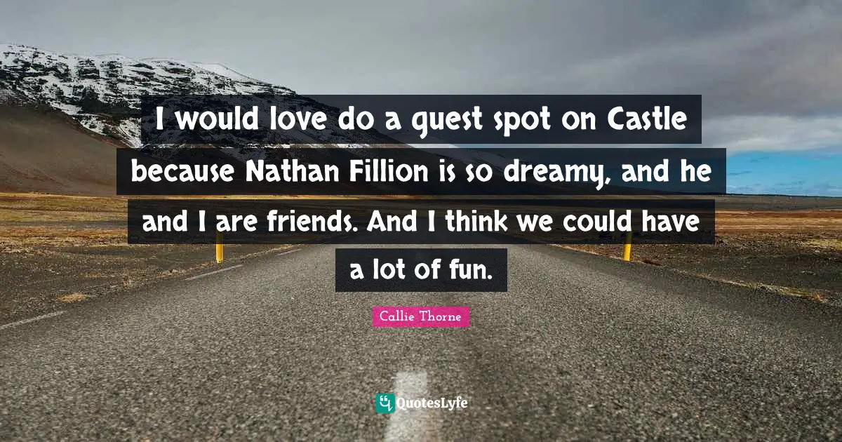 I would love do a guest spot on Castle because Nathan Fillion is so dreamy, and he and I are friends. And I think we could have a lot of fun.
