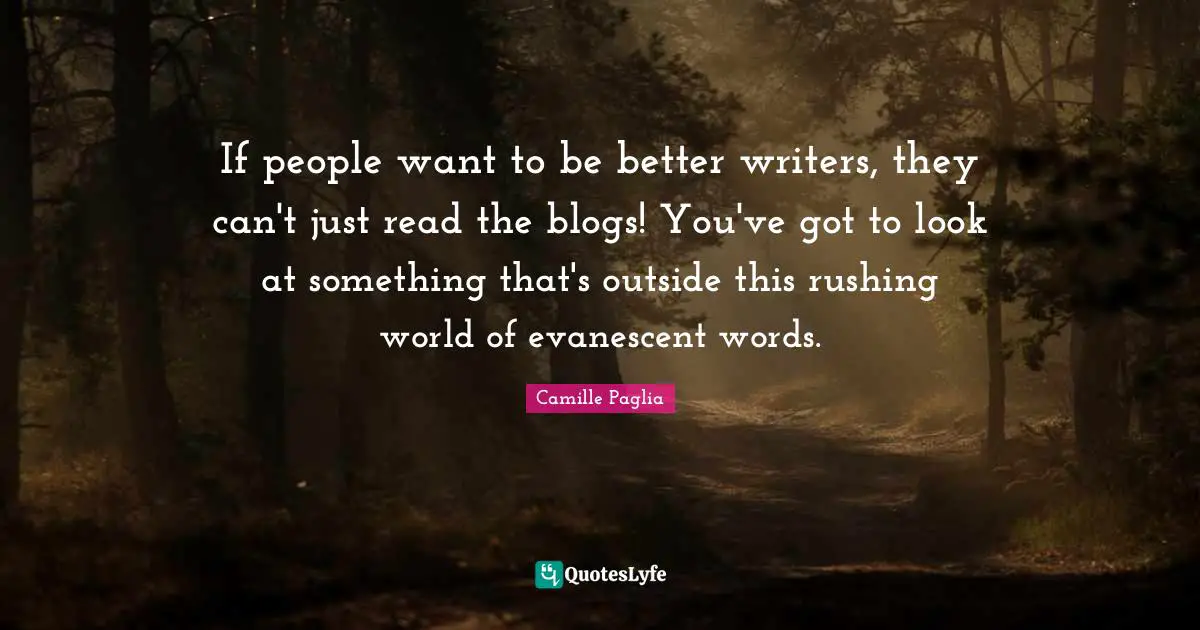 If people want to be better writers, they can't just read the blogs! You've got to look at something that's outside this rushing world of evanescent words.