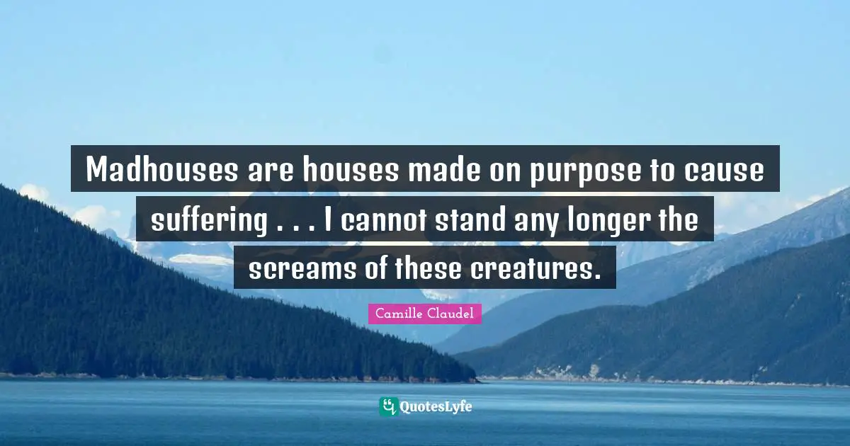 Madhouses are houses made on purpose to cause suffering . . . I cannot stand any longer the screams of these creatures.
