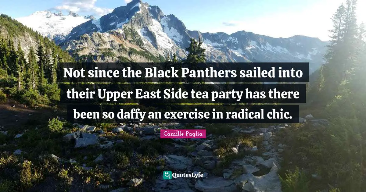 Not since the Black Panthers sailed into their Upper East Side tea party has there been so daffy an exercise in radical chic.