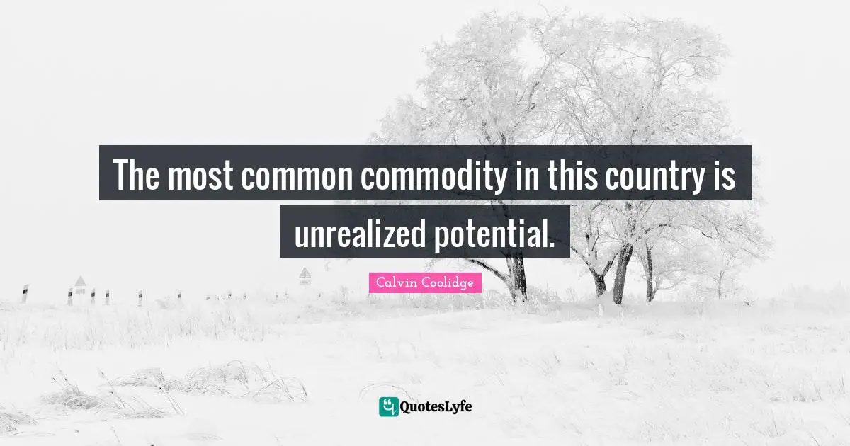 The most common commodity in this country is unrealized potential.