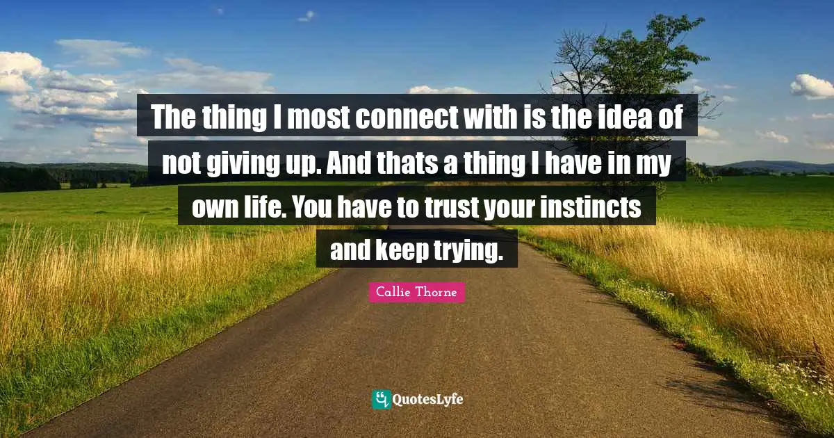 The thing I most connect with is the idea of not giving up. And thats a thing I have in my own life. You have to trust your instincts and keep trying.