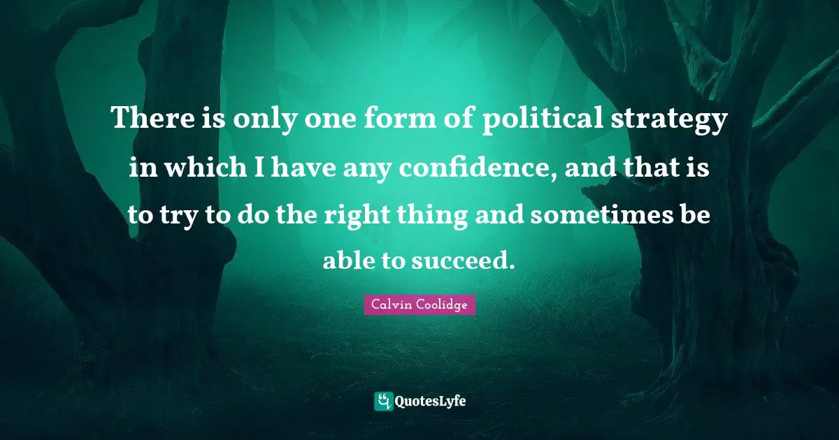 There is only one form of political strategy in which I have any confidence, and that is to try to do the right thing and sometimes be able to succeed.