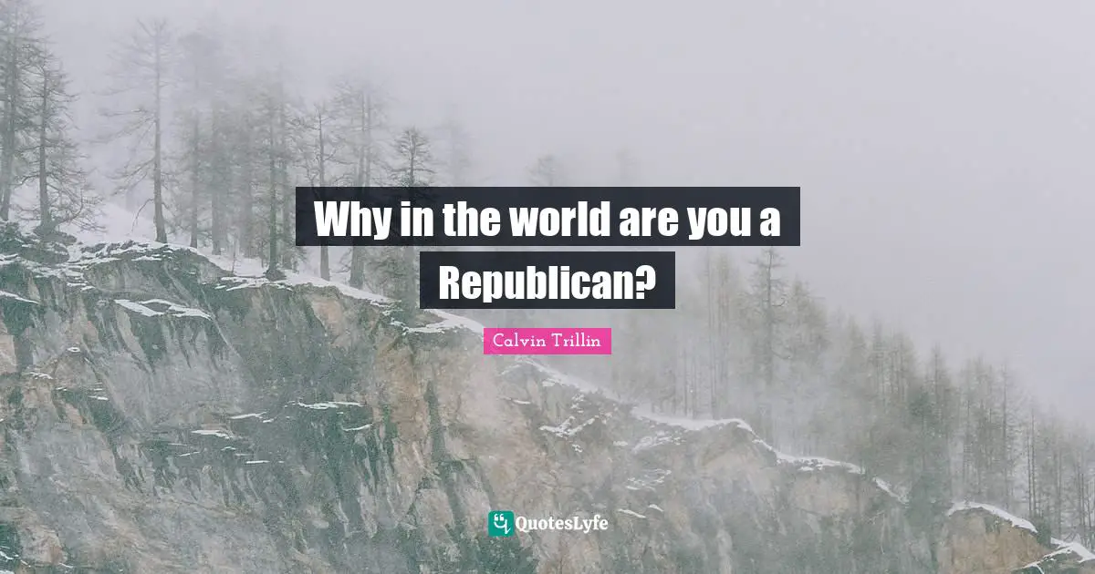 Why in the world are you a Republican?