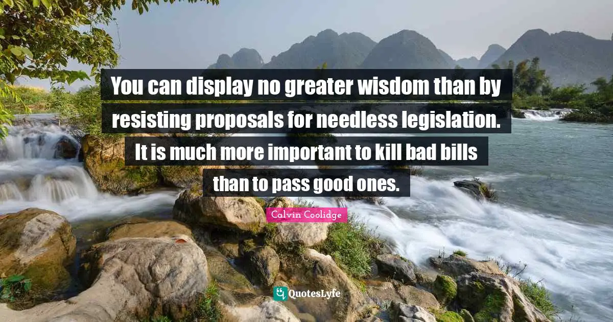 Proposal Quotes: "You can display no greater wisdom than by resisting proposals for needless legislation. It is much more important to kill bad bills than to pass good ones."