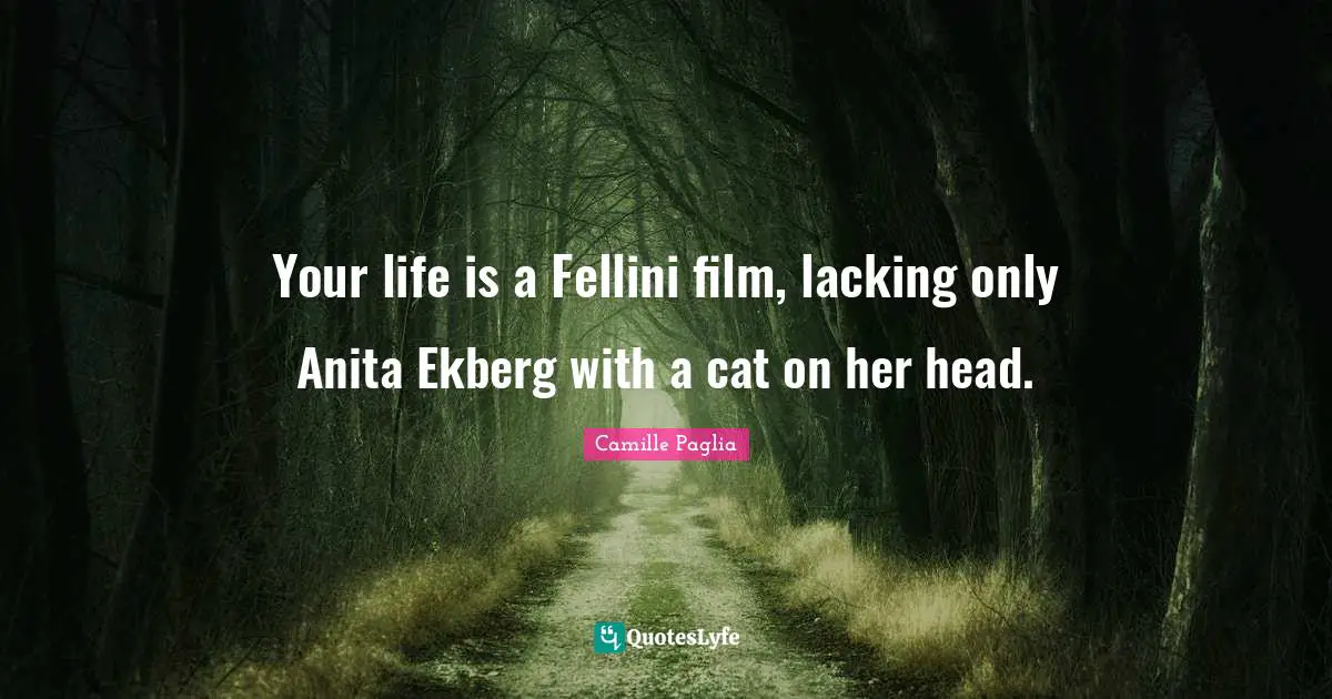 Your life is a Fellini film, lacking only Anita Ekberg with a cat on her head.
