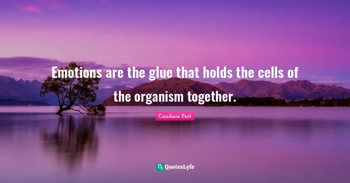 Emotions are the glue that holds the cells of the organism together.
