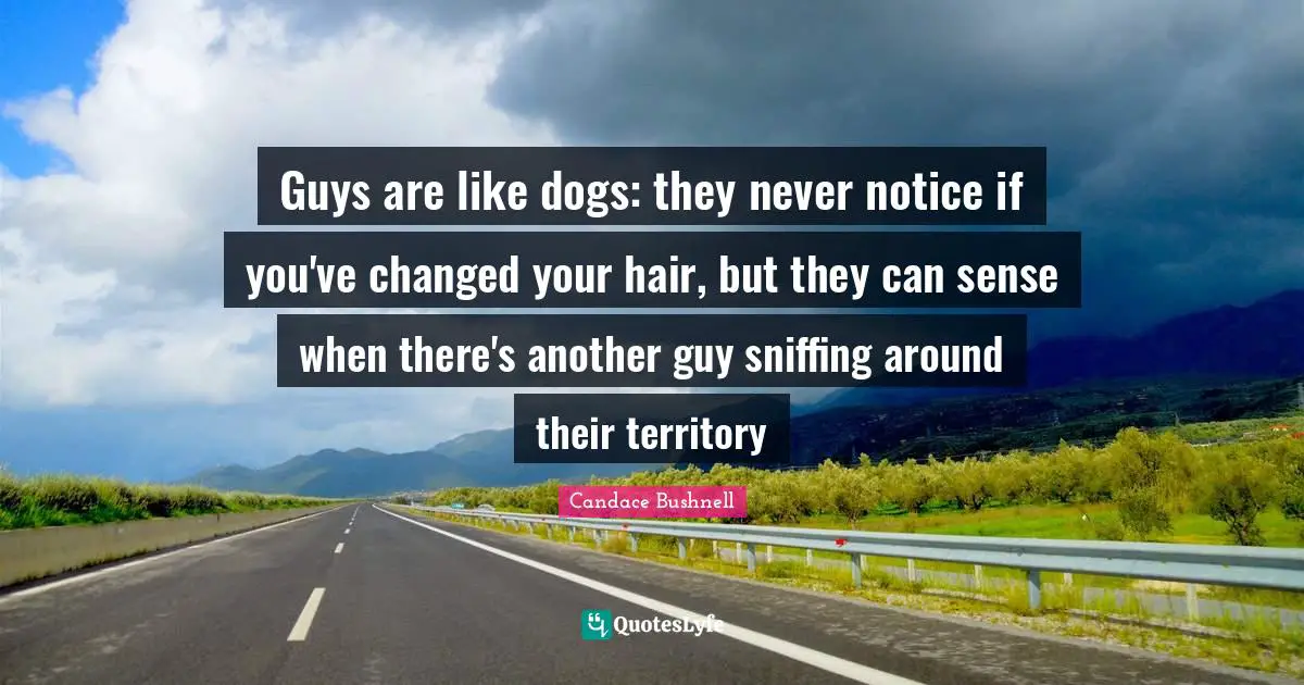 Guys are like dogs: they never notice if you've changed your hair, but they can sense when there's another guy sniffing around their territory