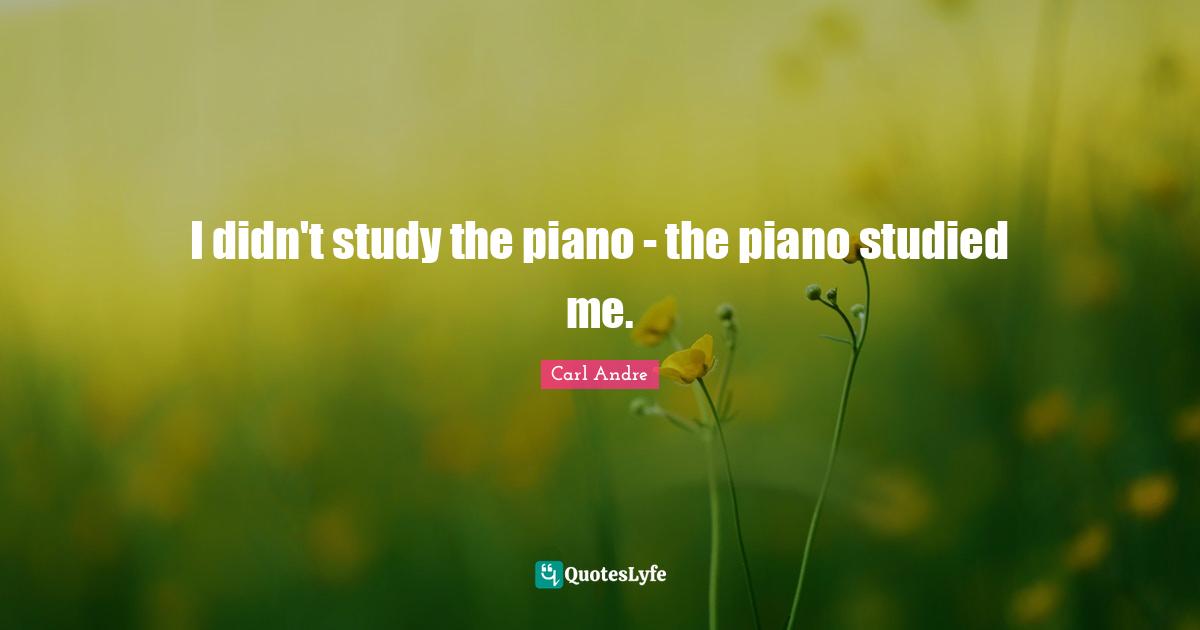 I didn't study the piano - the piano studied me.