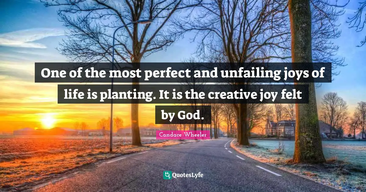 One of the most perfect and unfailing joys of life is planting. It is the creative joy felt by God.