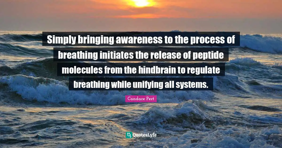 Simply bringing awareness to the process of breathing initiates the release of peptide molecules from the hindbrain to regulate breathing while unifying all systems.