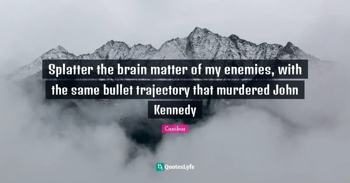 Splatter the brain matter of my enemies, with the same bullet trajectory that murdered John Kennedy