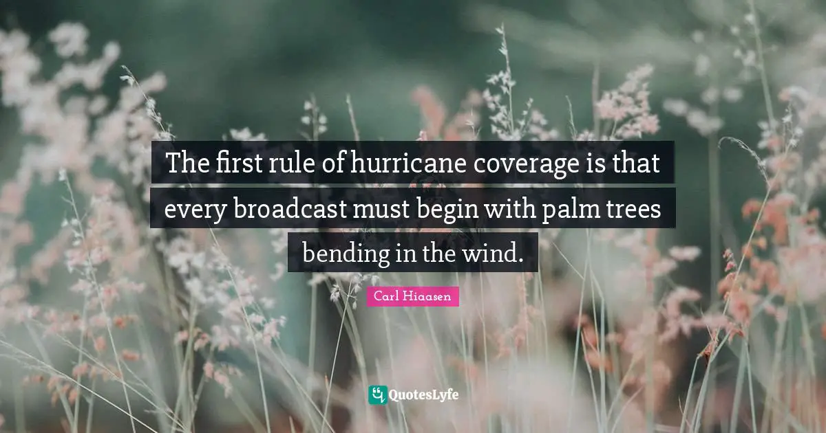 The first rule of hurricane coverage is that every broadcast must begin with palm trees bending in the wind.