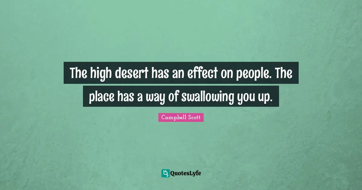 The high desert has an effect on people. The place has a way of swallowing you up.