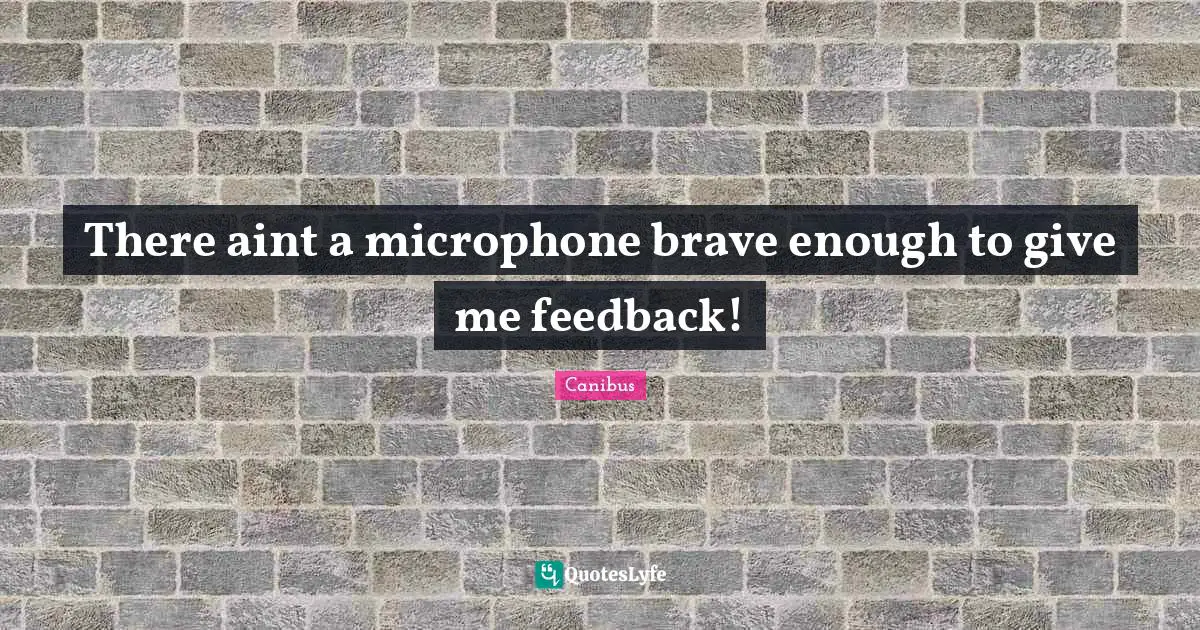 There aint a microphone brave enough to give me feedback!
