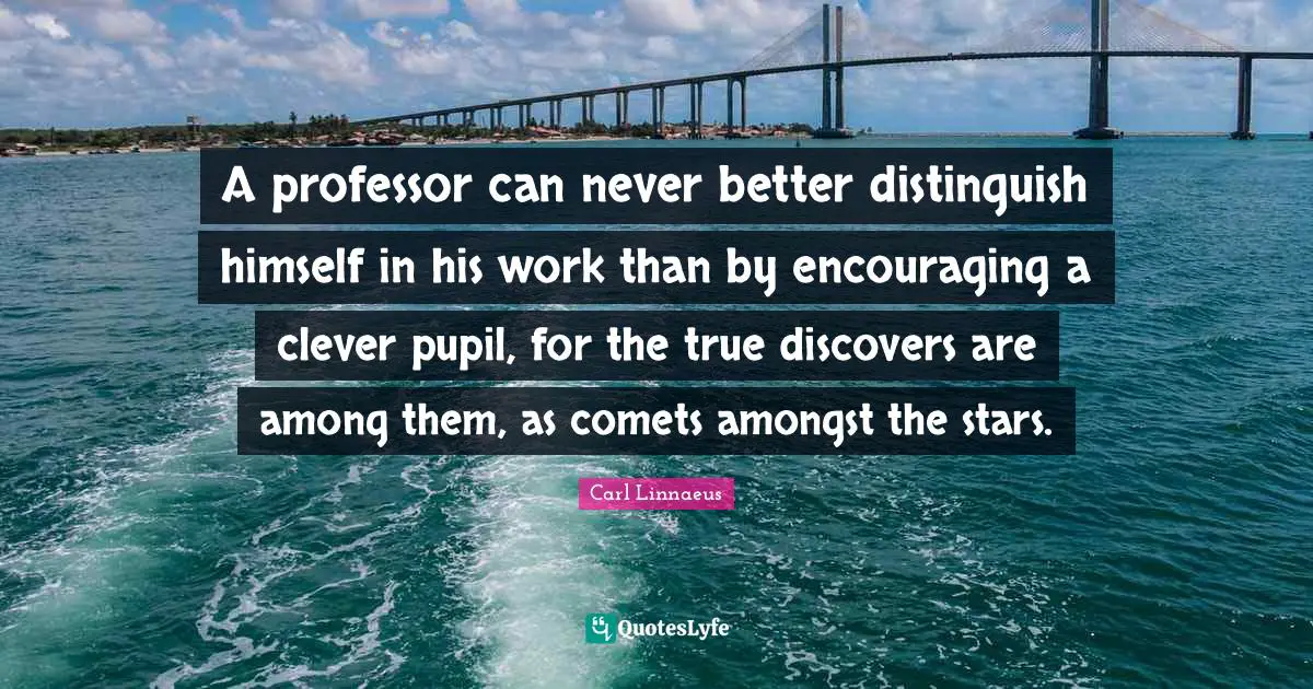 A professor can never better distinguish himself in his work than by encouraging a clever pupil, for the true discovers are among them, as comets amongst the stars.